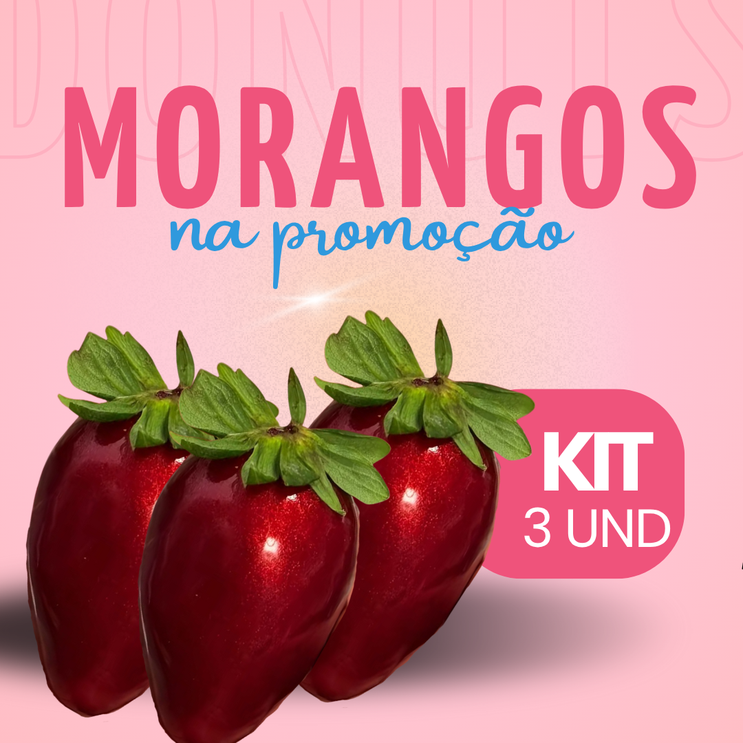 1 Botijão P13
